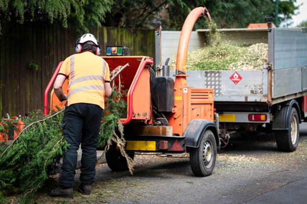 Best Lawn Grading and Leveling  in Lafayette, CA